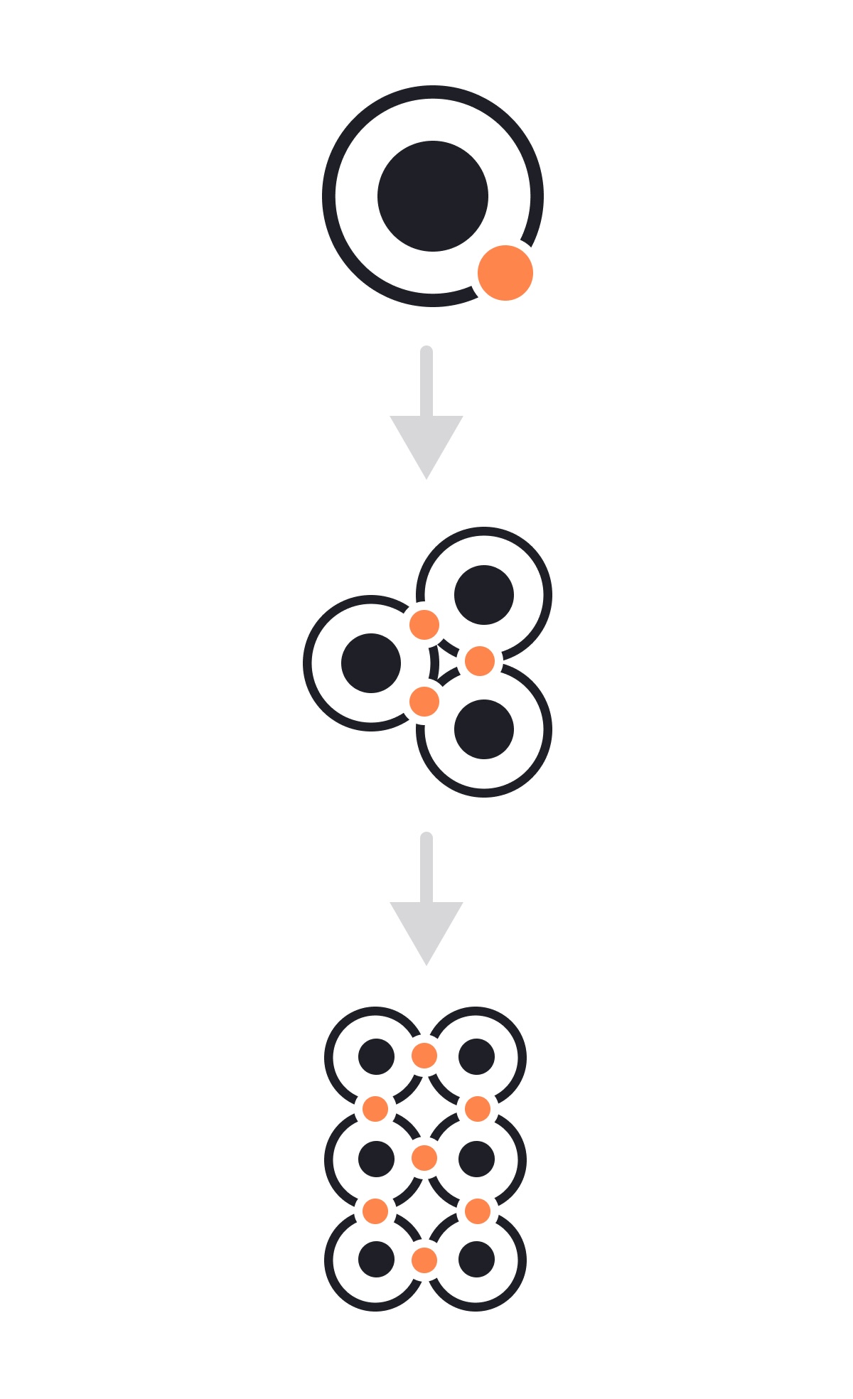 Atom, molecule and organism represented as circles that nest into progressively larger clusters